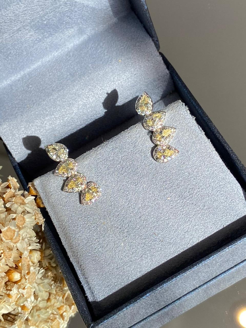 Brinco 4 Gotas Fancy Yellow