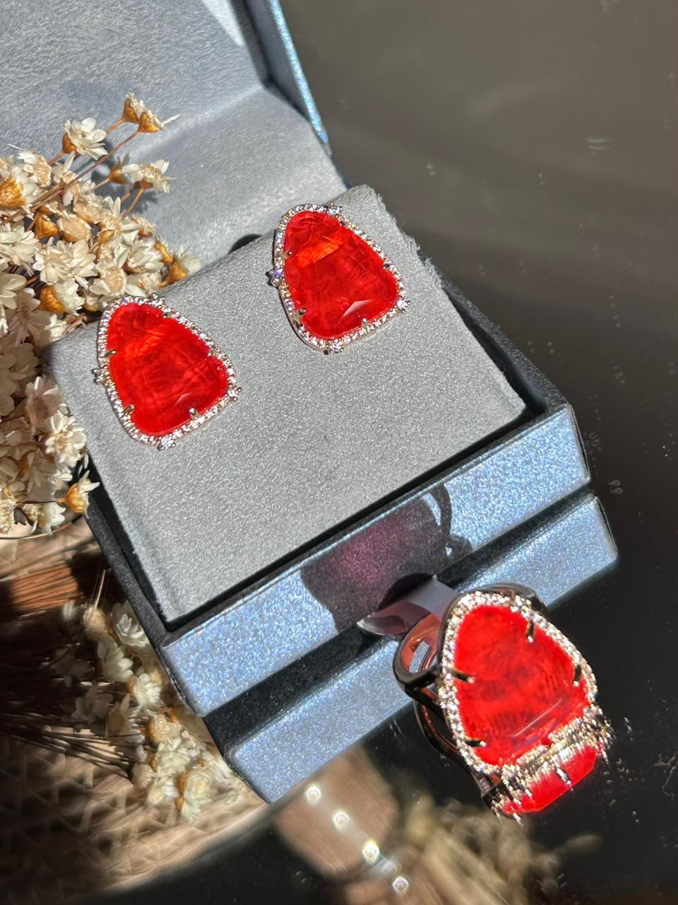 Conjunto Lelis Coral