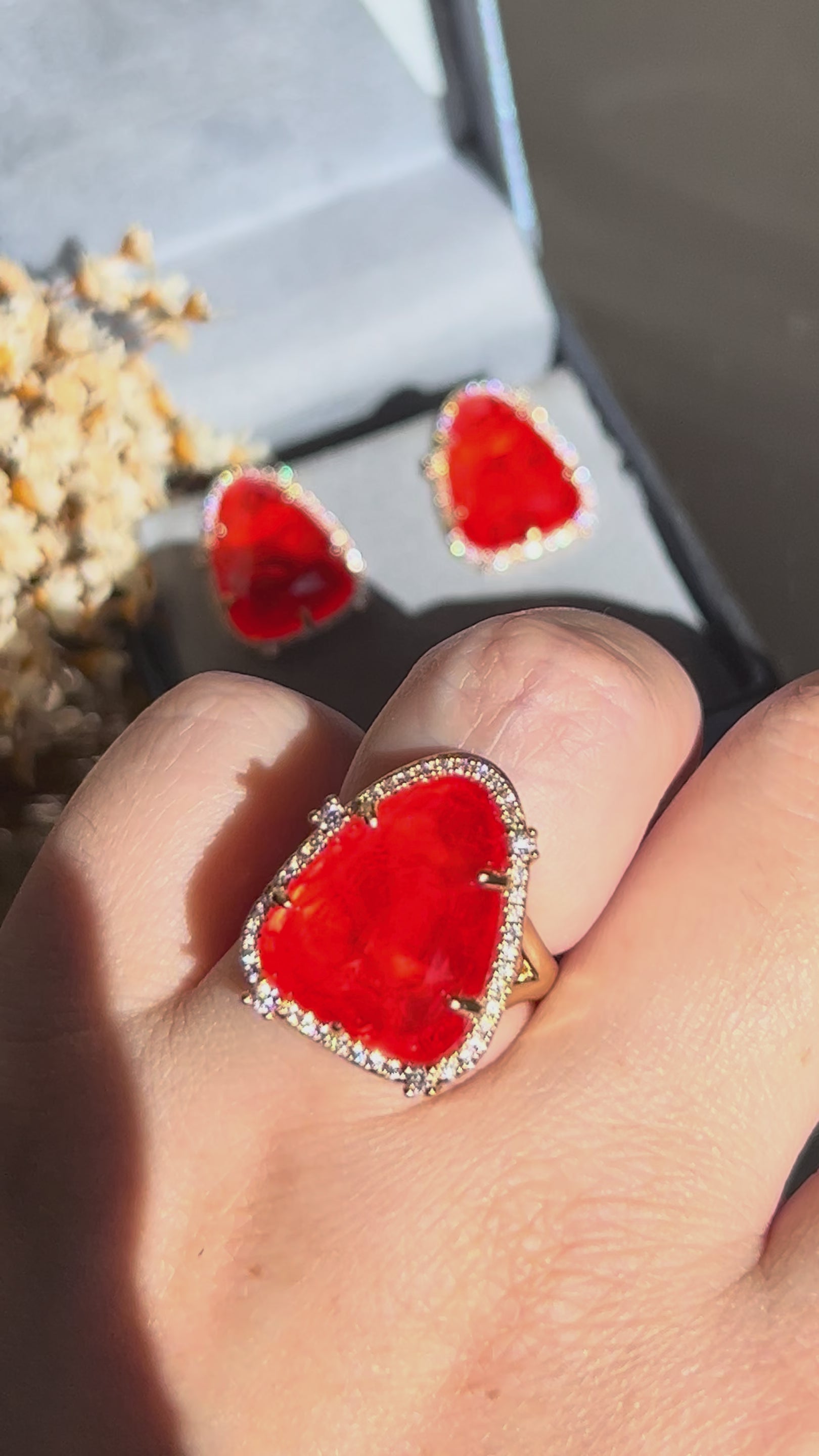 Conjunto Lelis Coral
