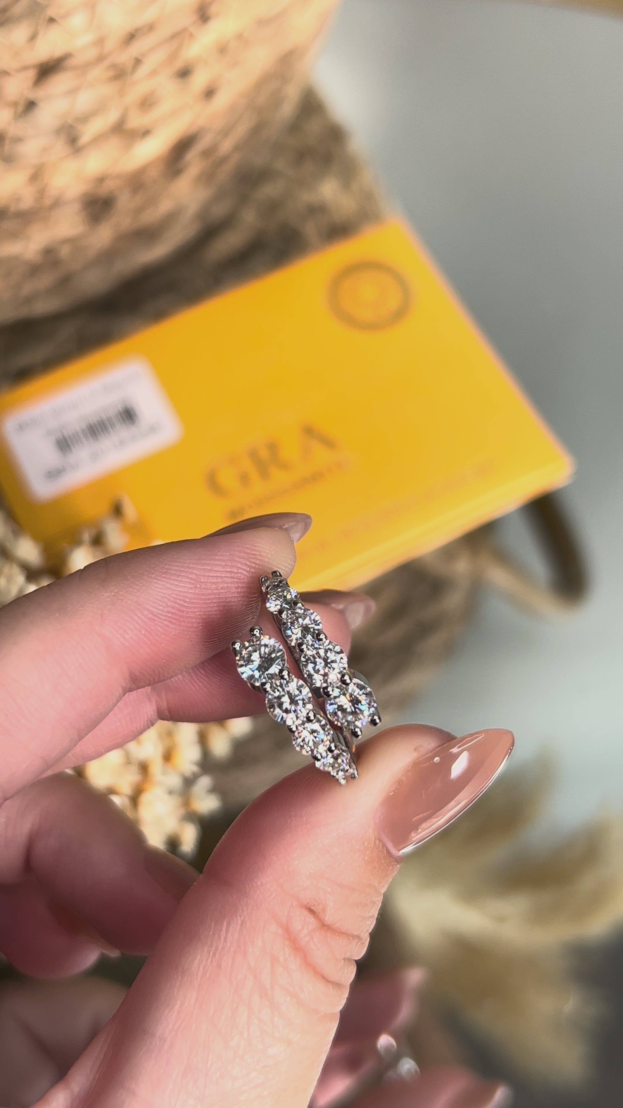 Anel Double Diamond Moissanite Ajustável
