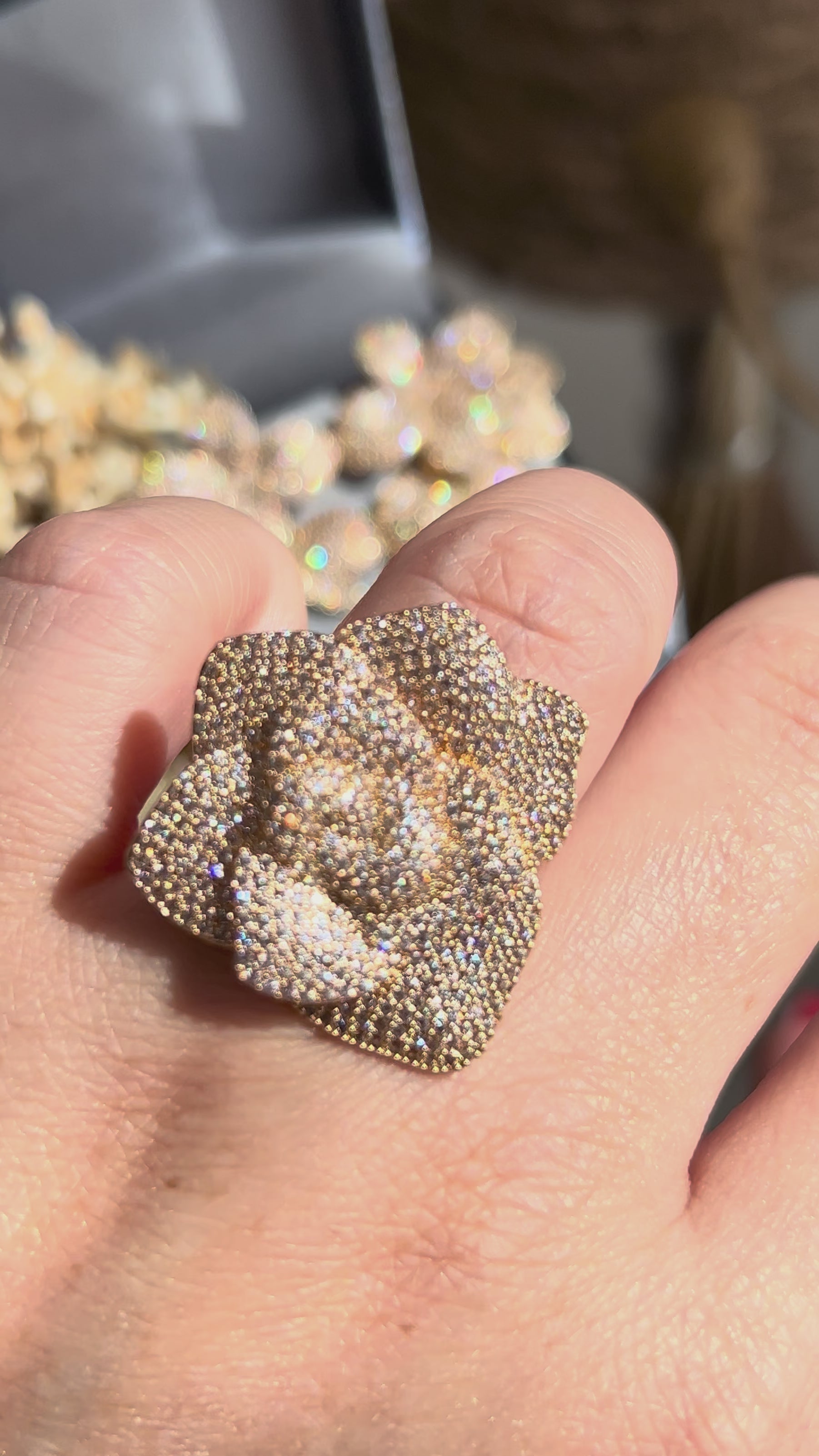 Conjunto Brinco 2 em 1 e Anel Lírio